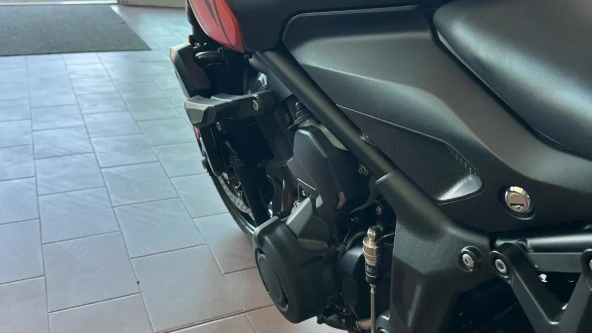 Triumph Trident 660 (2021 - 24)  (8)