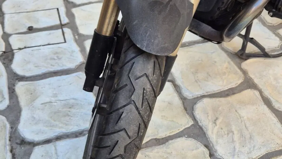 Bmw R 1200 GS (2008 - 09)  (4)