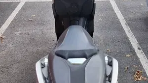 Yamaha X-Max 300 ABS (2017 - 20)  (2)