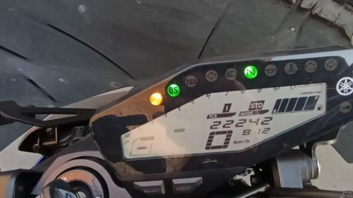 Yamaha MT-09 (2017 - 20)  (6)