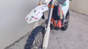 KTM 350 EXC-F Six Days (2020)  (3)