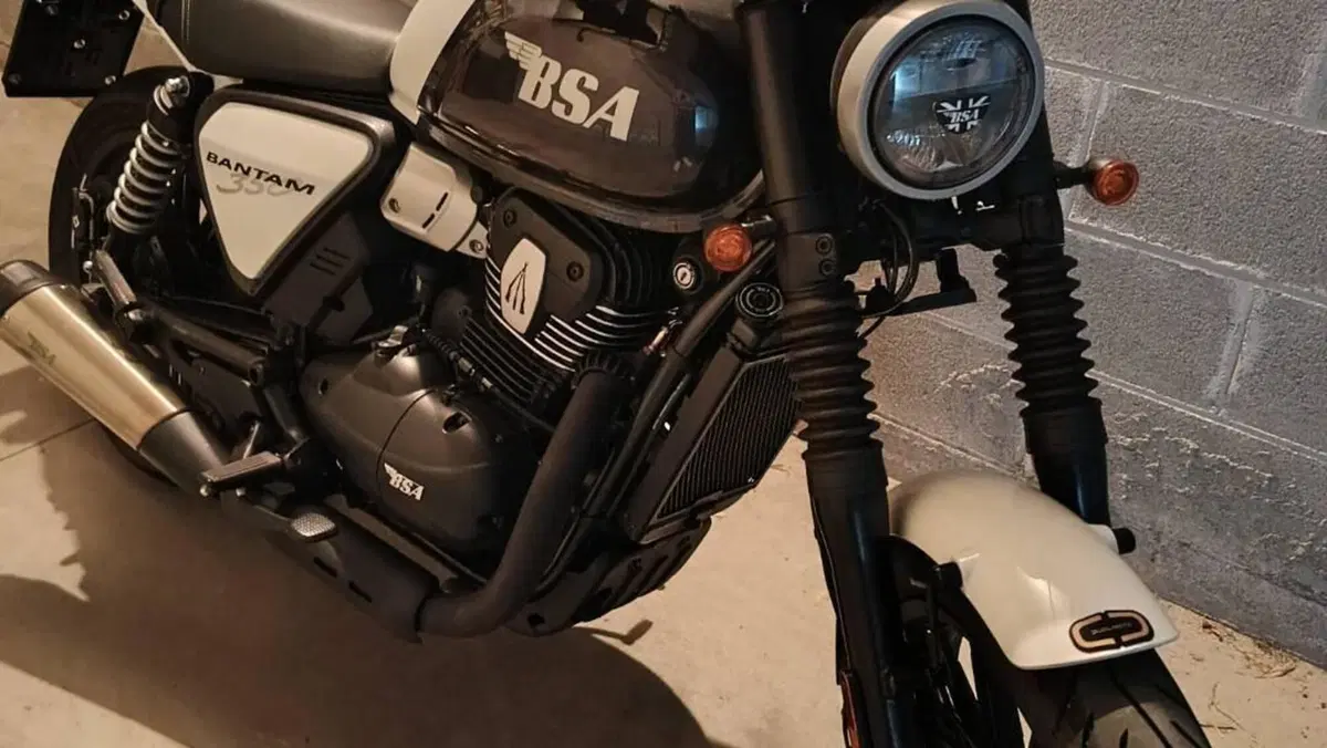 Bsa Bantam 350 (2025 - 26)  (3)