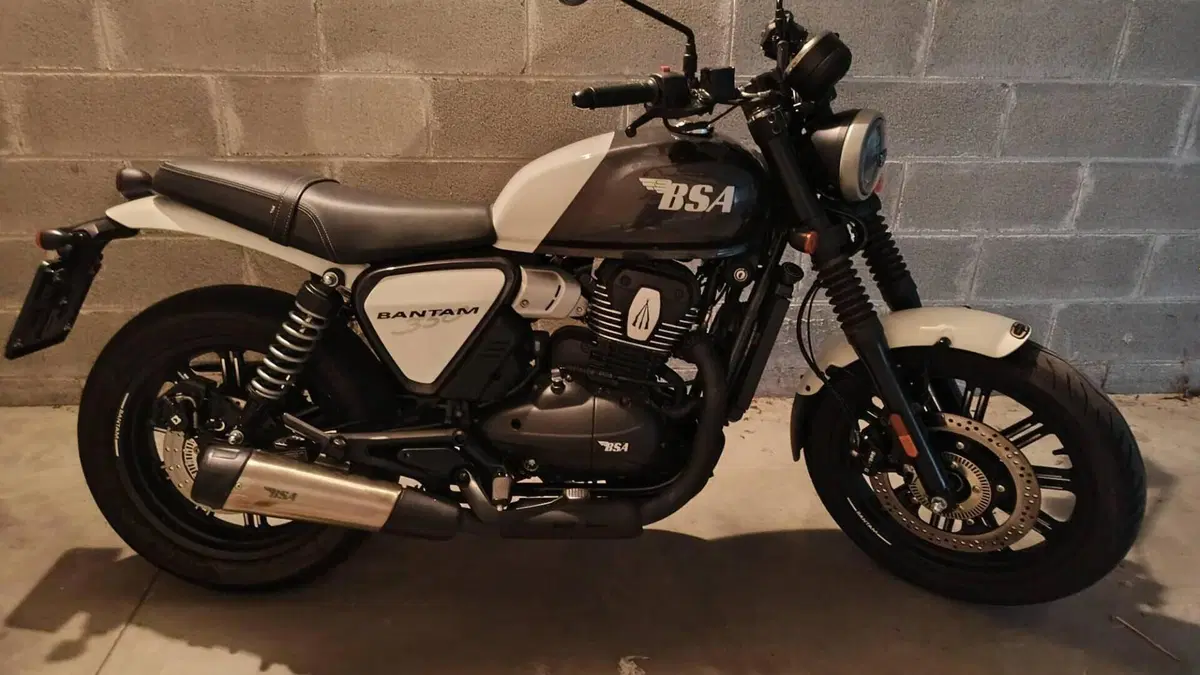 Bsa Bantam 350 (2025 - 26)  (4)