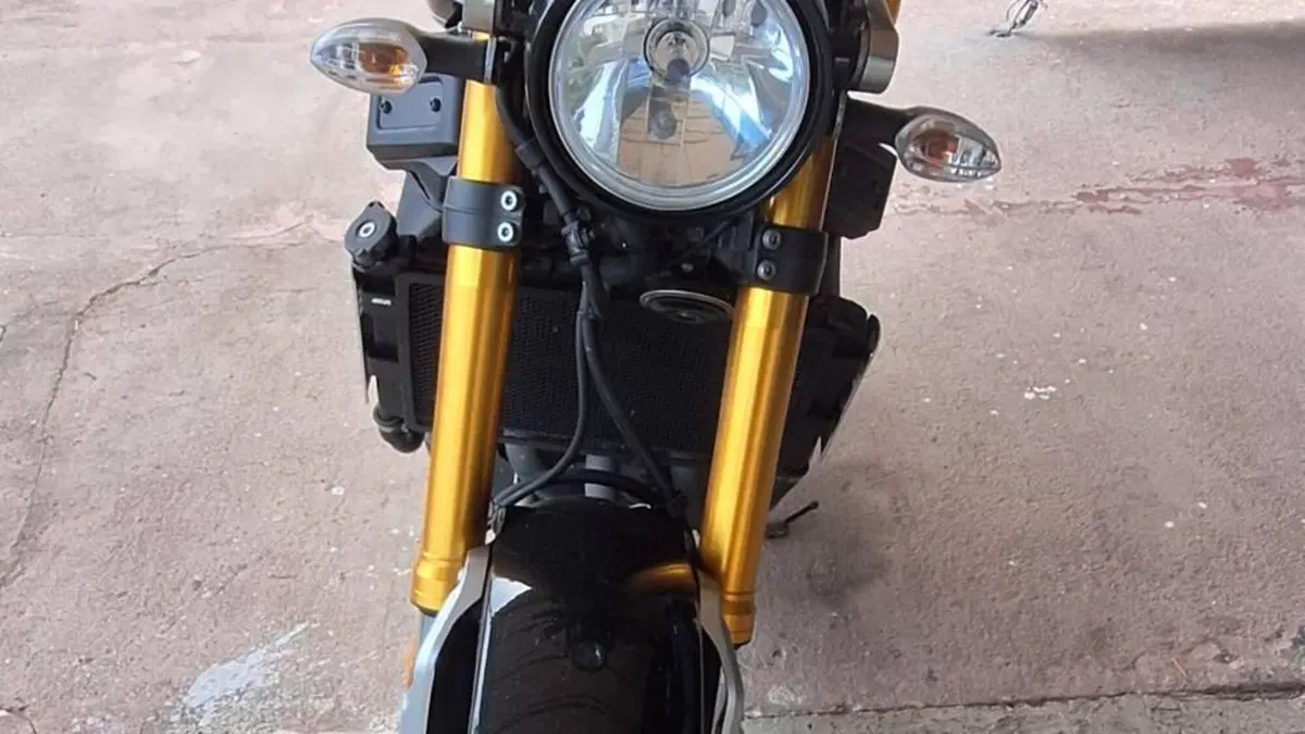 Yamaha XSR 900 ABS 60th Anniversary (2016 - 18)  (6)