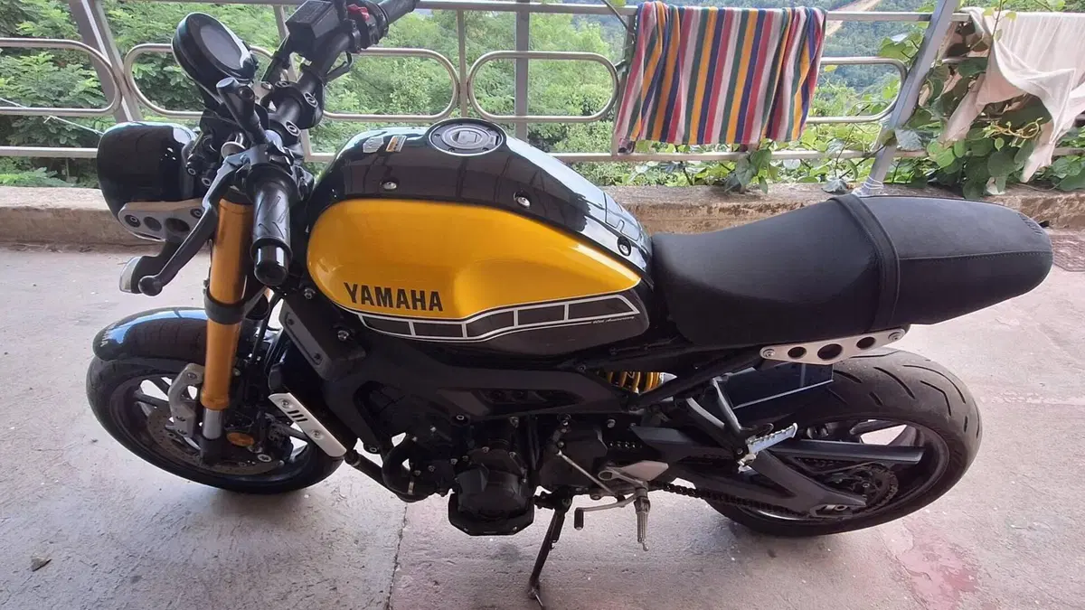 Yamaha XSR 900 ABS 60th Anniversary (2016 - 18)  (4)