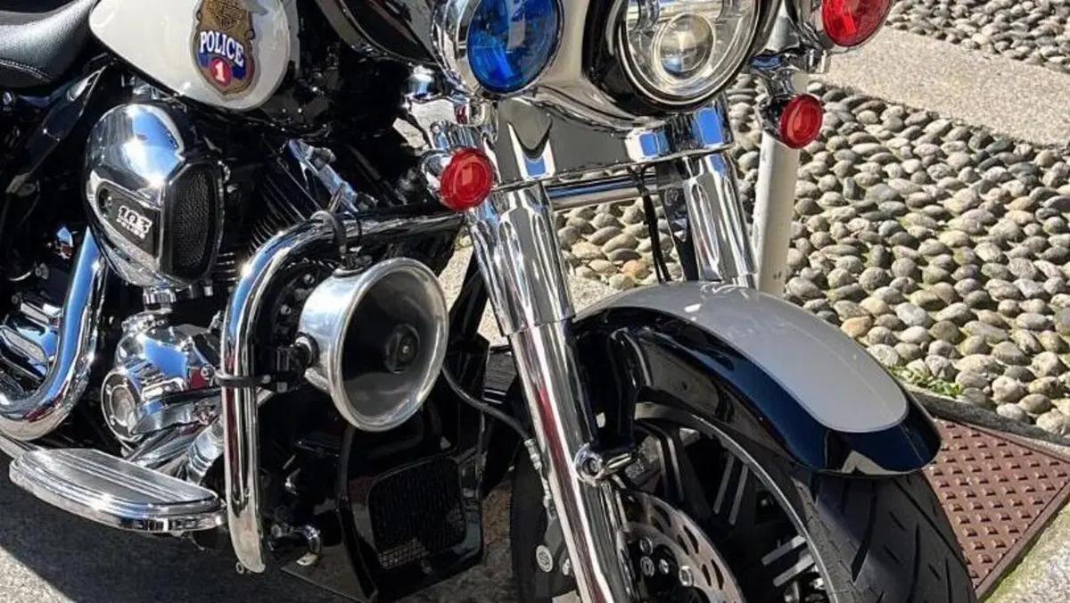 Harley-Davidson Electra Glide Police (2015 - 16) - FLHTP 