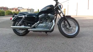 Harley-Davidson 883 Custom (2008 - 12) - XL 883C 