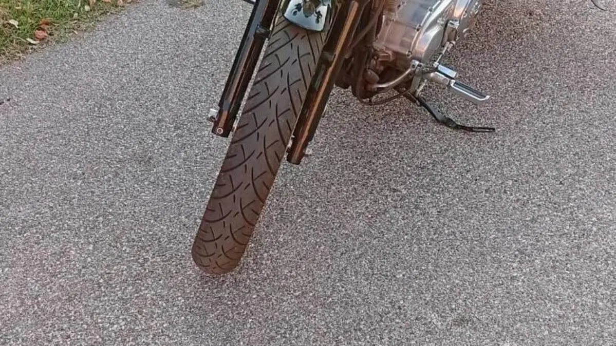 Harley-Davidson 883 Custom (2008 - 12) - XL 883C  (2)