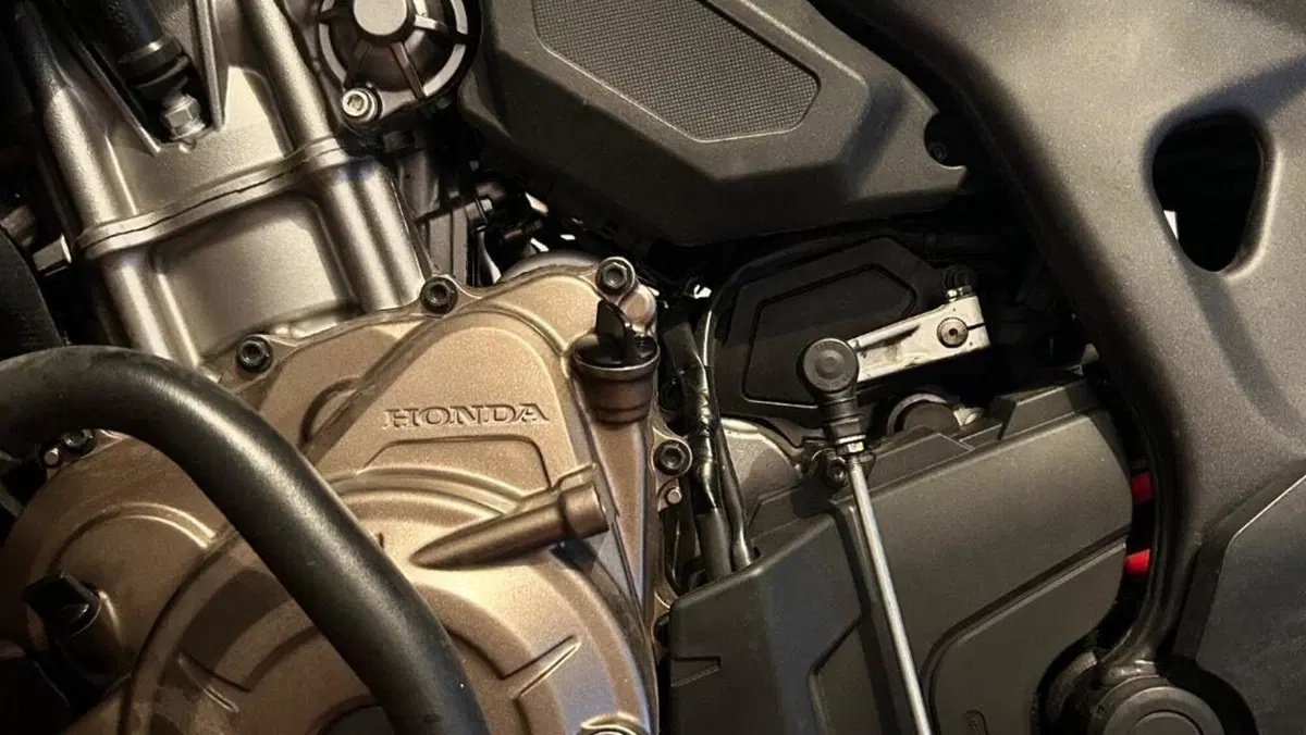 Honda Africa Twin CRF 1000L (2018 - 19)  (5)