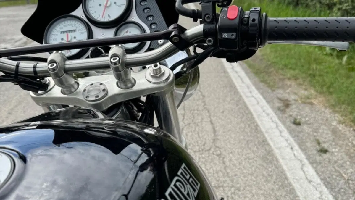Triumph   (3)