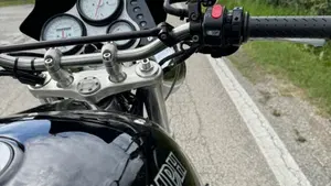 Triumph   (3)