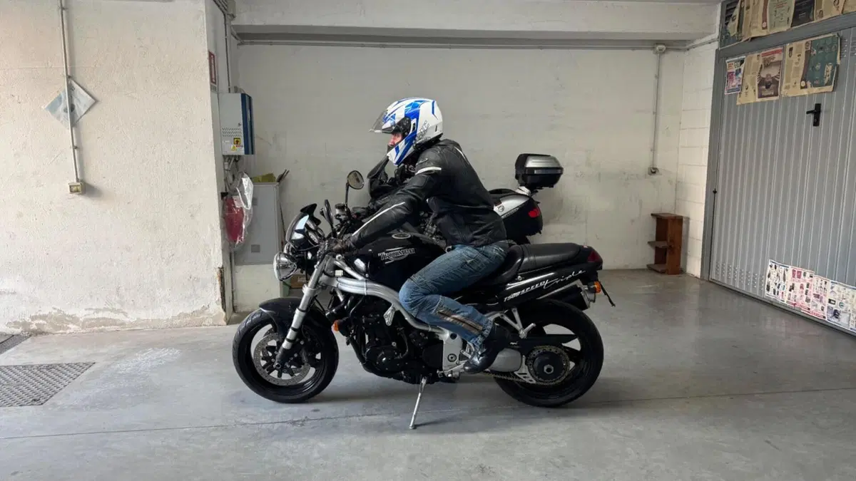Triumph   (5)
