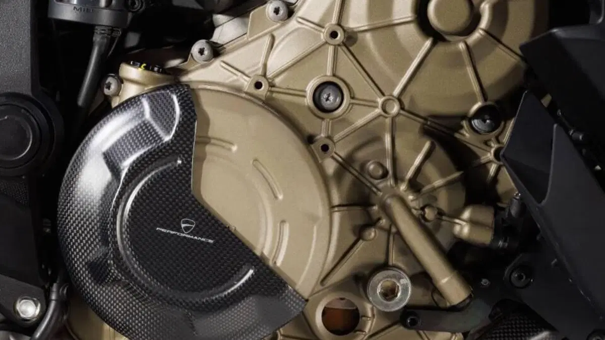 Ducati Multistrada V4 Pikes Peak (2021 - 24)  (10)