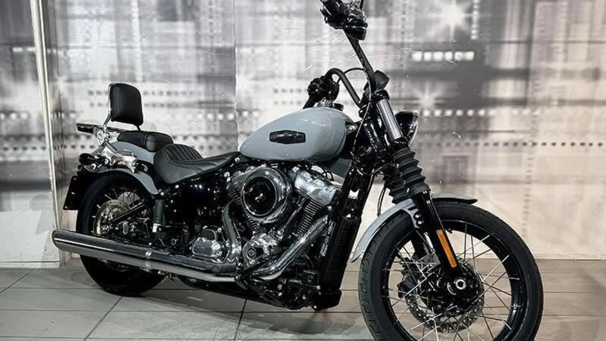 Harley-Davidson Street Bob 117 (2025 - 26) 