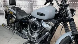 Harley-Davidson Street Bob 117 (2025 - 26)  (5)