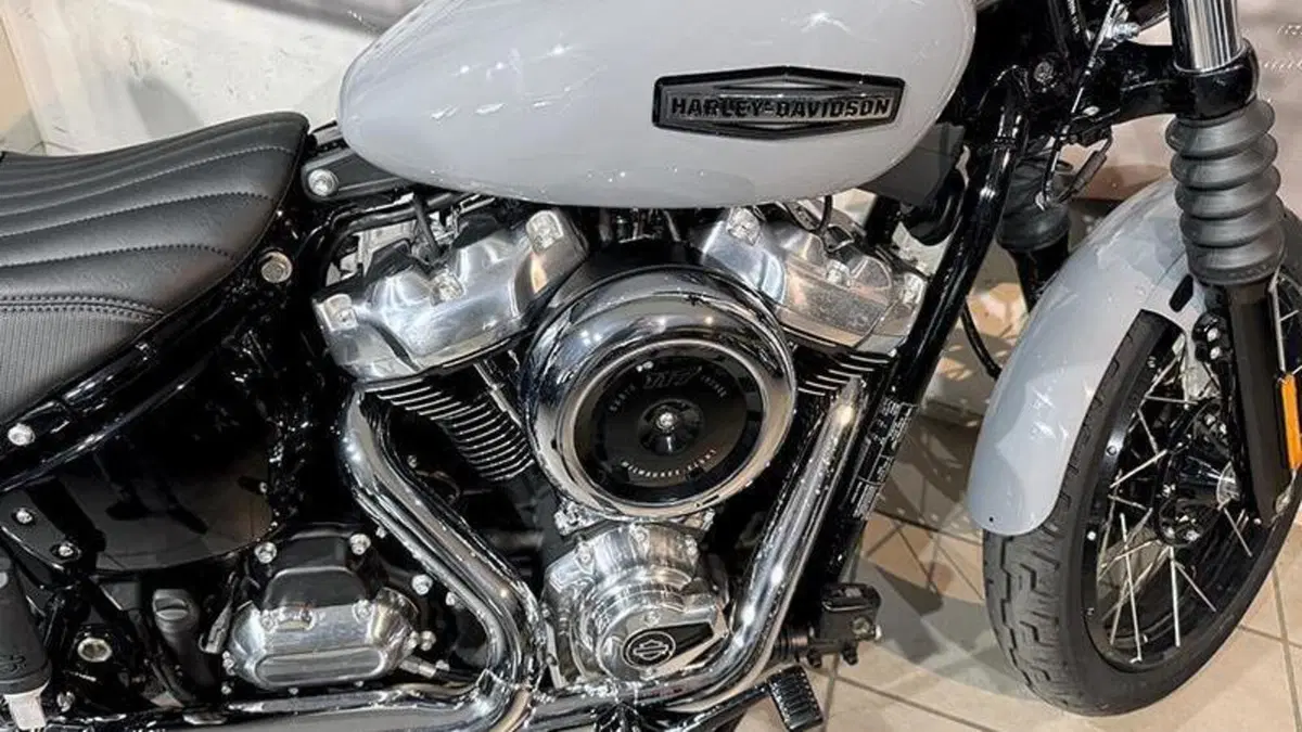 Harley-Davidson Street Bob 117 (2025 - 26)  (6)