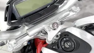 MV Agusta Brutale 800 RR (2017 - 20)  (9)