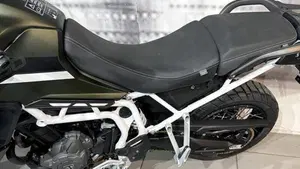 Triumph Tiger 900 Rally (2020 - 23)  (4)