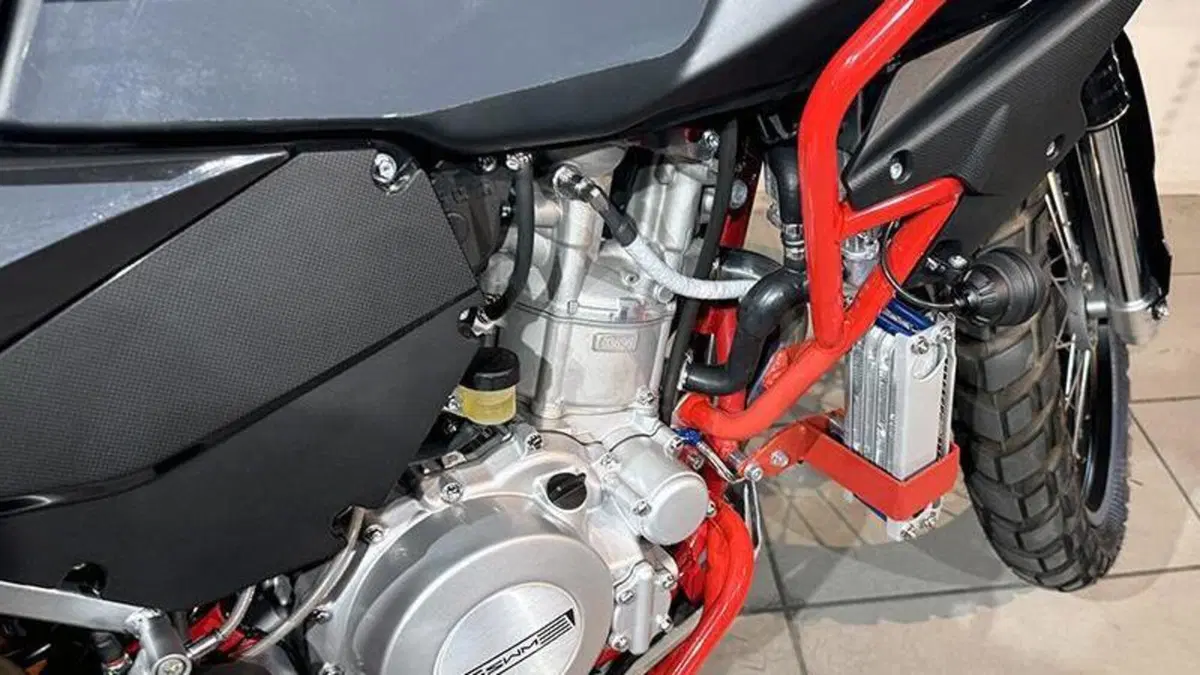 Swm Superdual 600 X (2025 - 26)  (6)