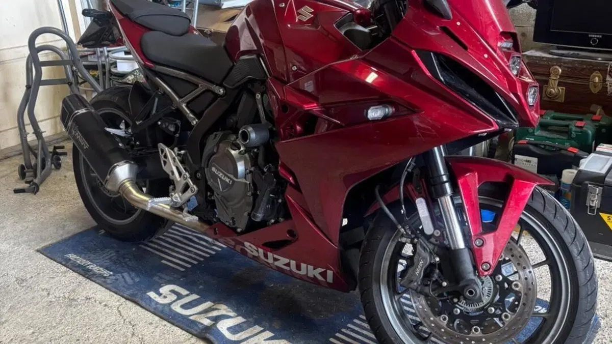 Suzuki GSX-8R (2024 - 26)  (2)