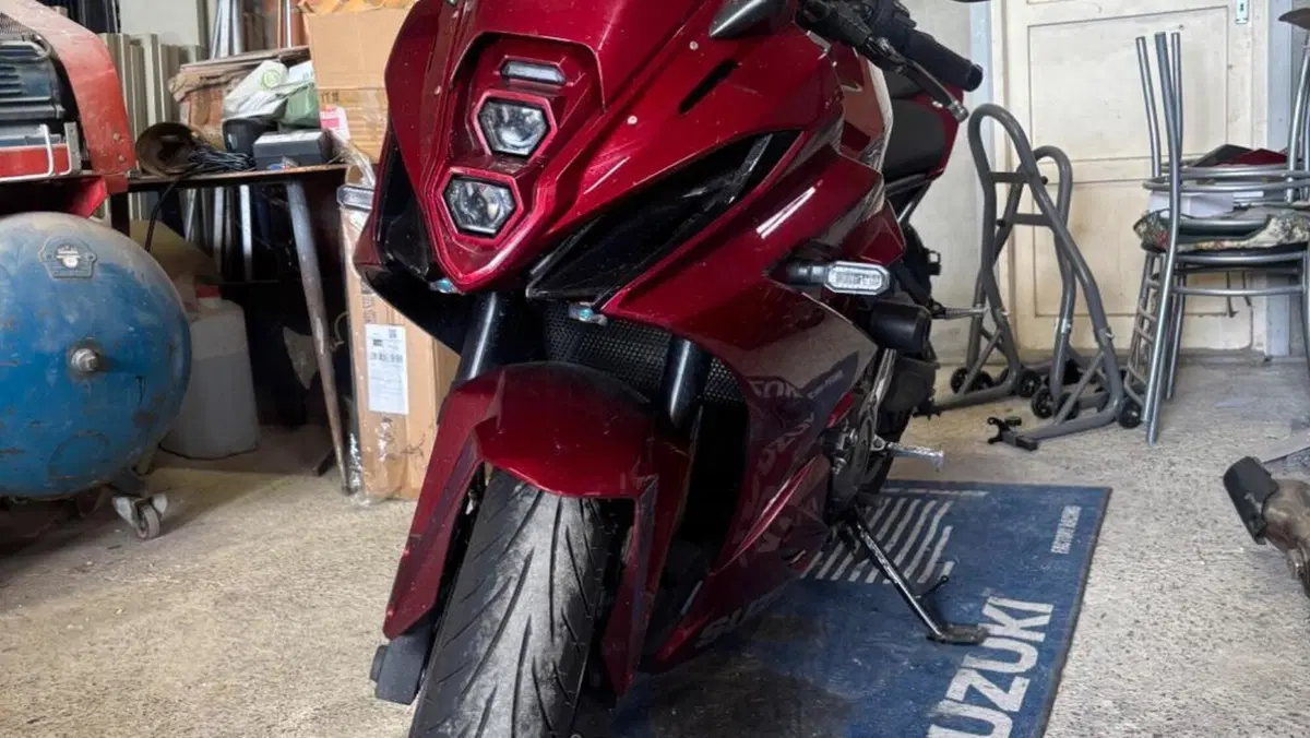 Suzuki GSX-8R (2024 - 26)  (3)