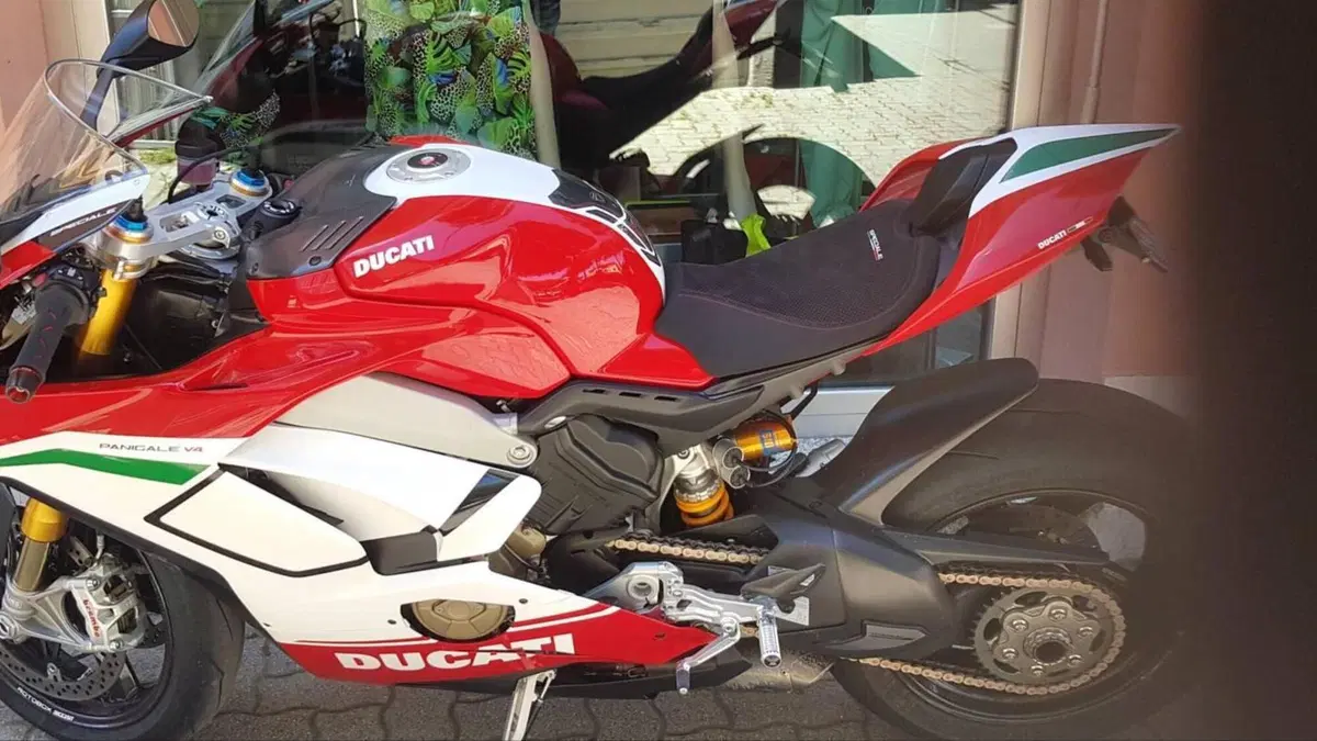 Ducati Panigale V4 Speciale 1100 (2018 - 19)  (2)