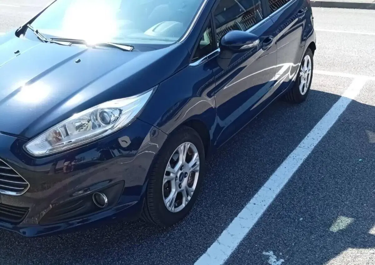 Ford Fiesta 1.5 TDCi 75CV 5 porte Titanium (5)
