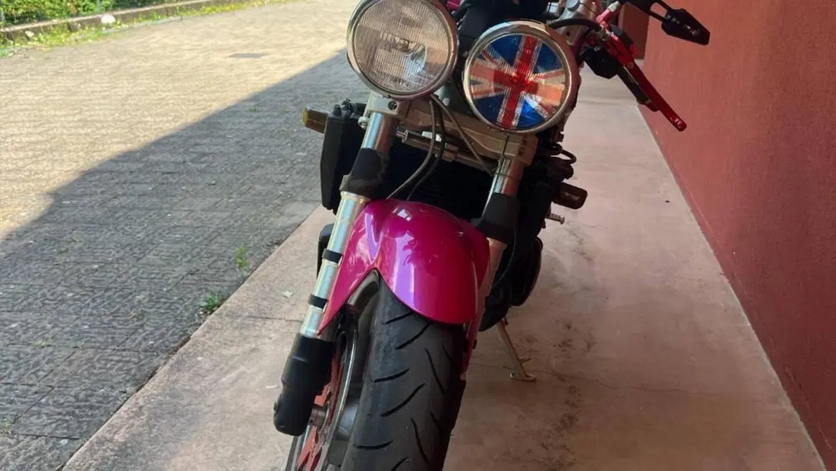 Triumph Speed Triple 955 (2002 - 04)  (2)
