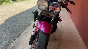 Triumph Speed Triple 955 (2002 - 04)  (2)