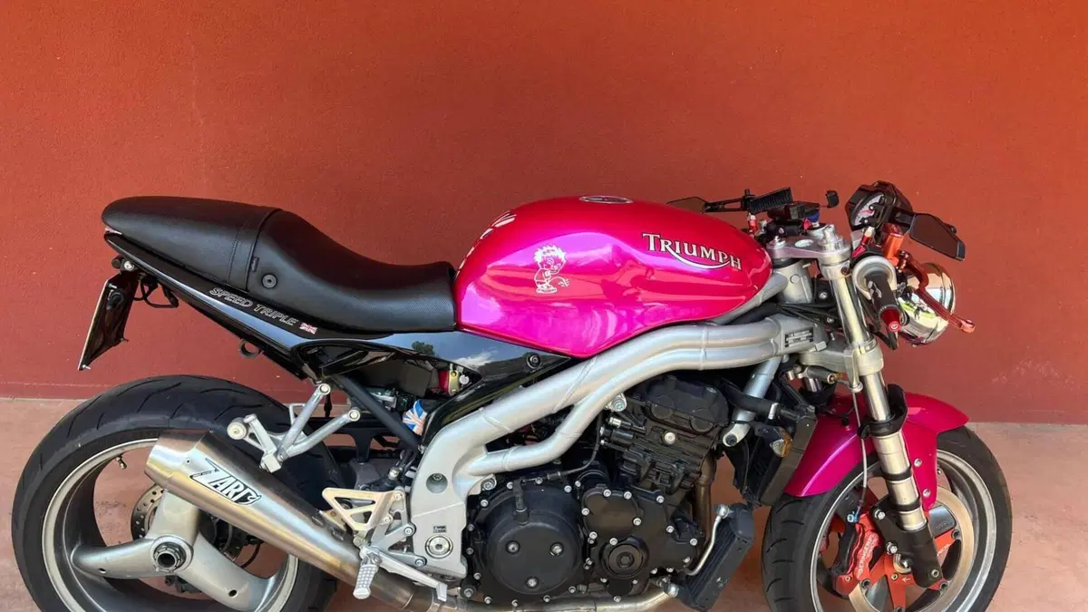 Triumph Speed Triple 955 (2002 - 04) 