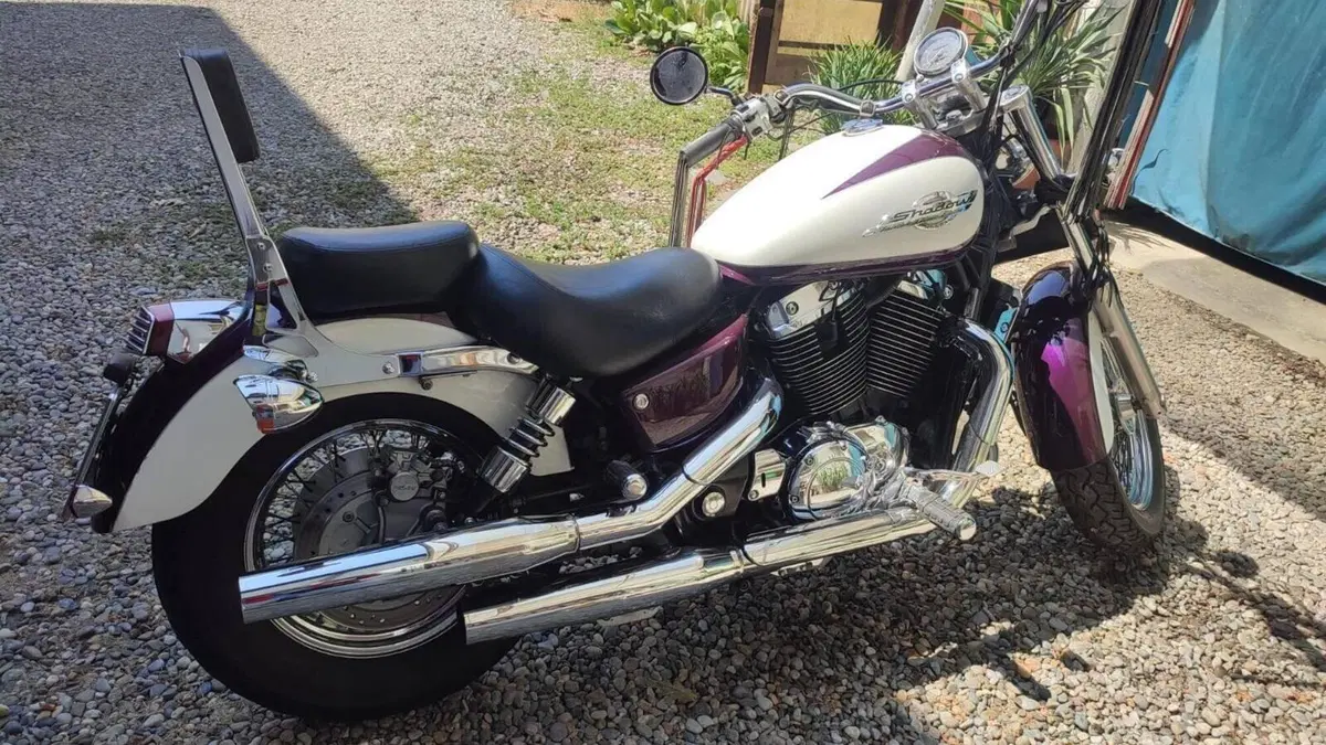 Honda VT 1100 C2 Shadow (1995 - 01)  (2)