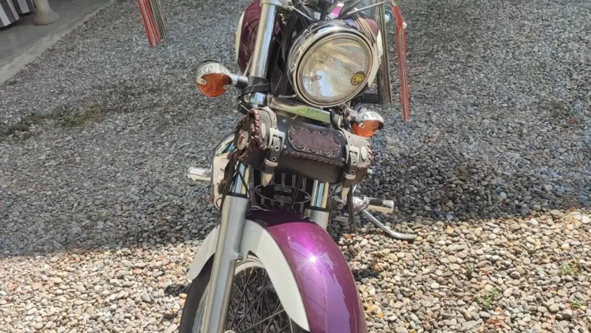 Honda VT 1100 C2 Shadow (1995 - 01)  (3)