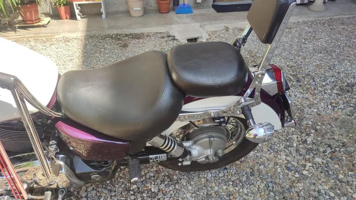 Honda VT 1100 C2 Shadow (1995 - 01)  (4)
