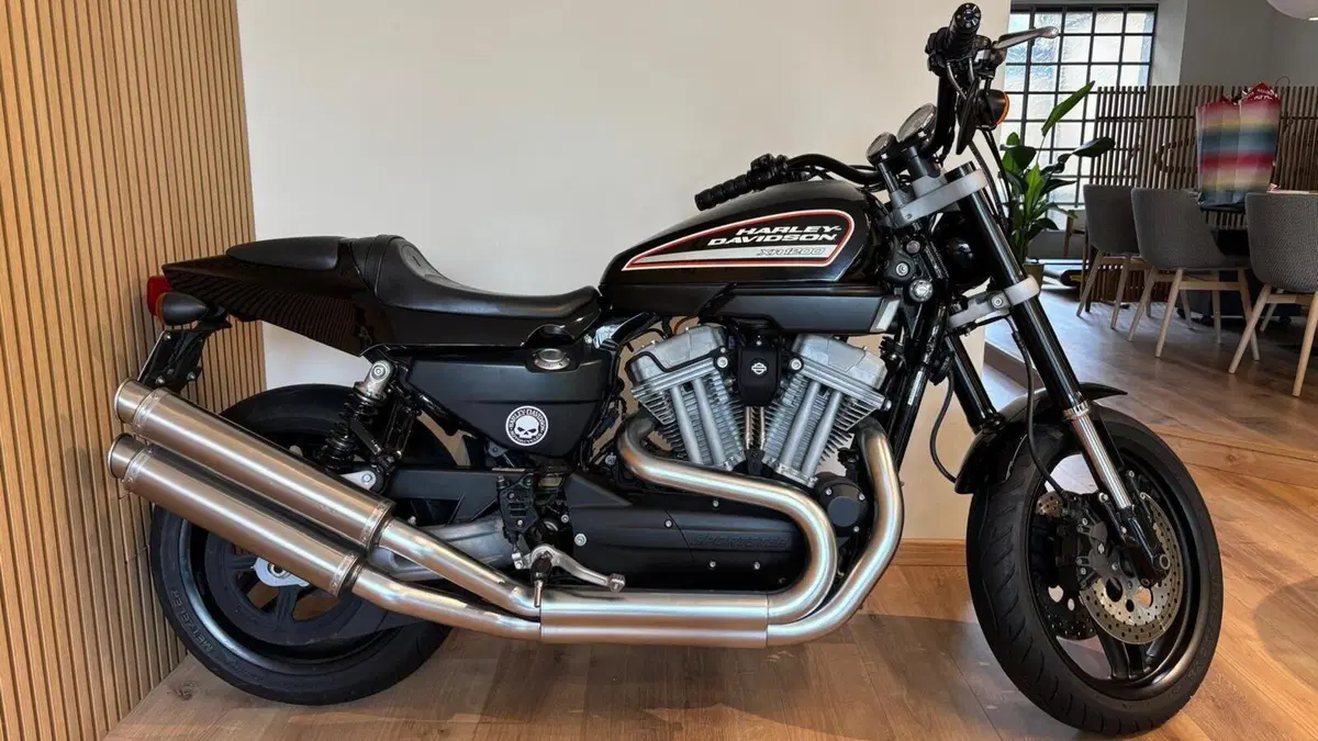Harley-Davidson 1200 XR (2009 - 12)  (3)