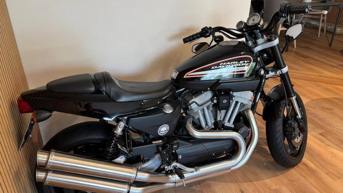Harley-Davidson 1200 XR (2009 - 12)  (4)