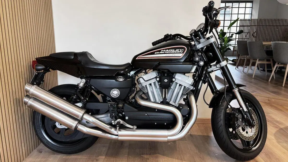 Harley-Davidson 1200 XR (2009 - 12)  (6)