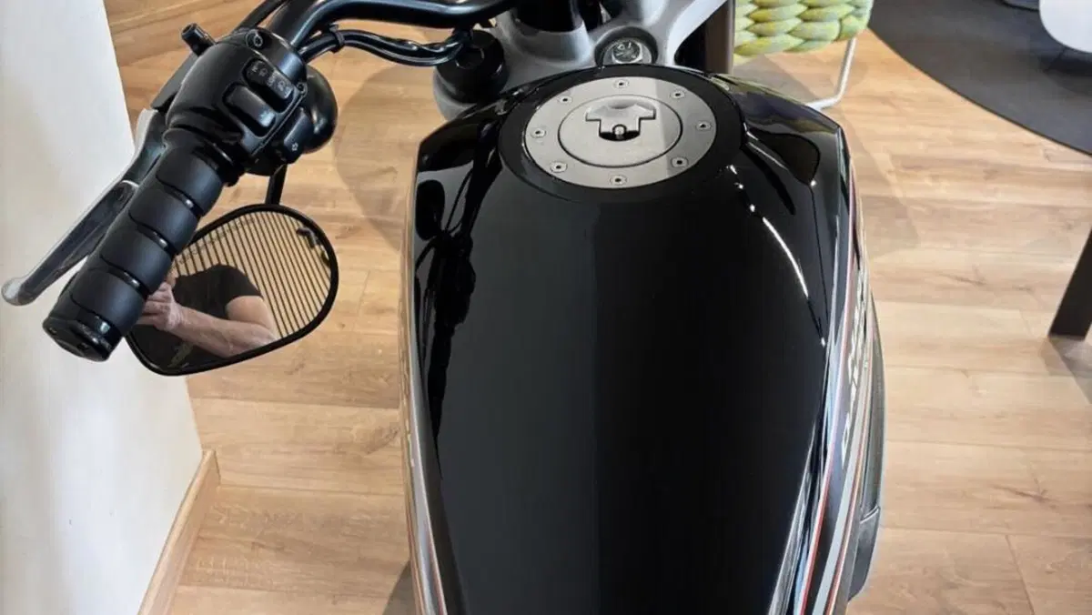 Harley-Davidson 1200 XR (2009 - 12)  (7)