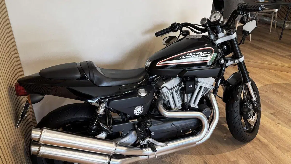 Harley-Davidson 1200 XR (2009 - 12) 