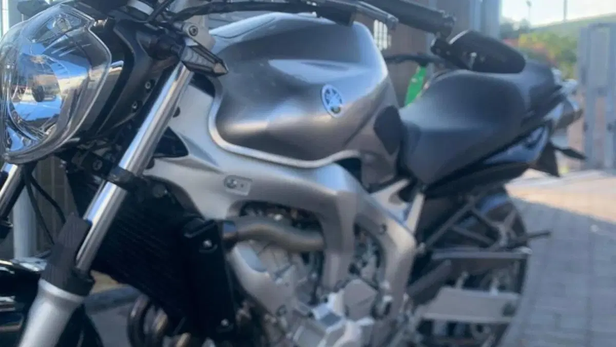 Yamaha FZ6 (2004 - 07) 