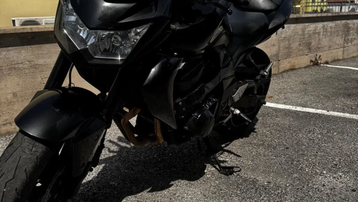 Kawasaki Z 750 (2007 - 14)  (2)