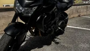 Kawasaki Z 750 (2007 - 14)  (2)