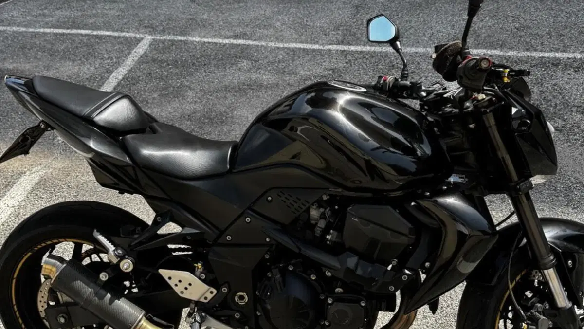 Kawasaki Z 750 (2007 - 14)  (3)