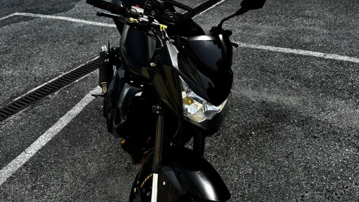 Kawasaki Z 750 (2007 - 14)  (6)