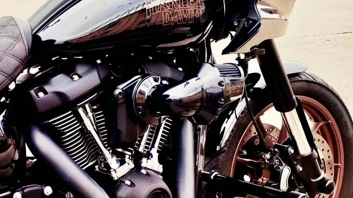 Harley-Davidson Low Rider ST (2022 - 24) 