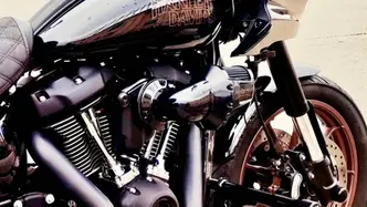 Harley-Davidson Low Rider ST (2022 - 24) usata