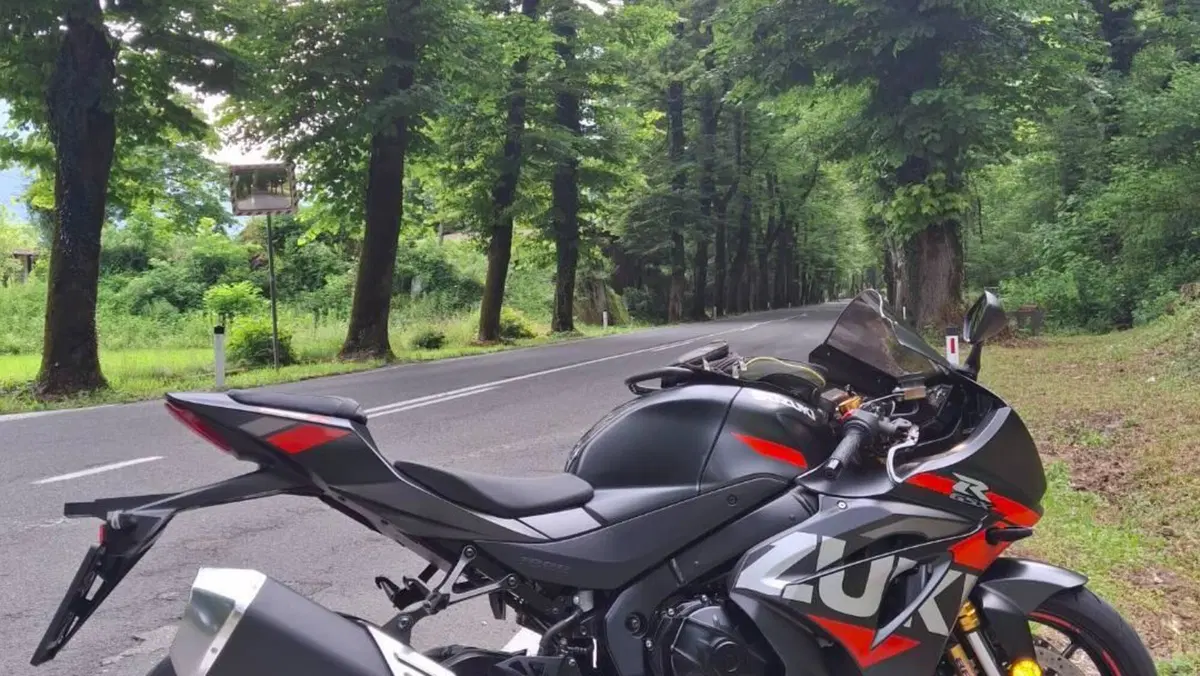 Suzuki GSX-R1000R (2019 - 20)  (4)
