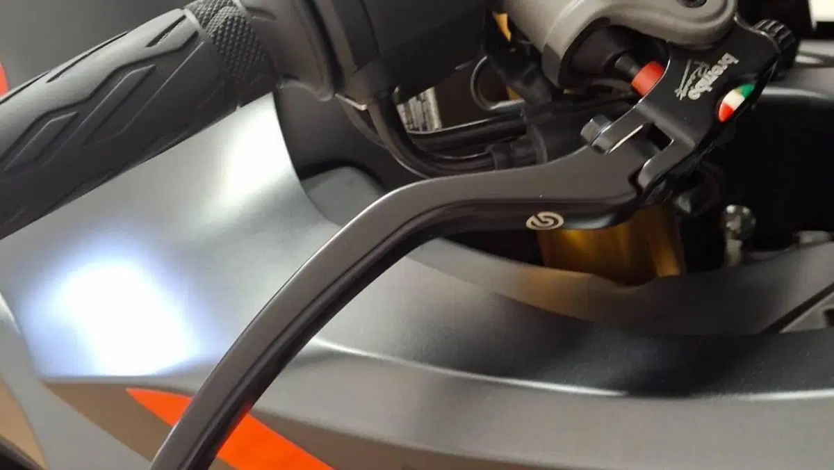 Suzuki GSX-R1000R (2019 - 20)  (10)