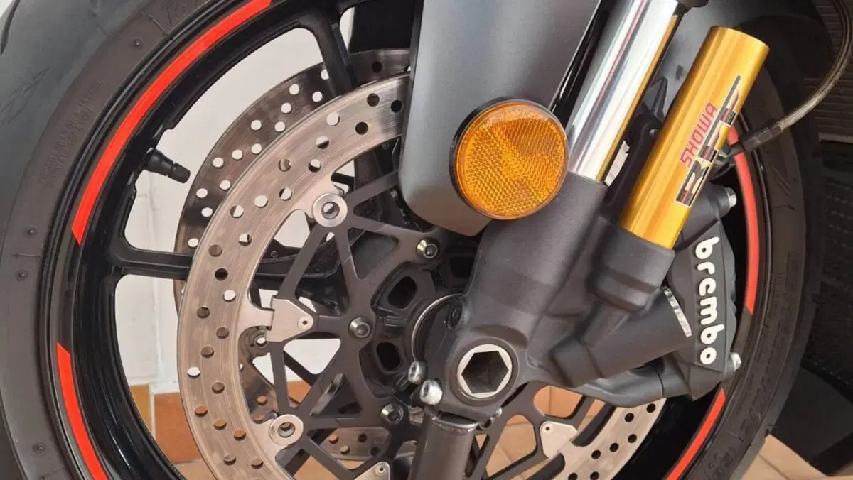 Suzuki GSX-R1000R (2019 - 20)  (12)