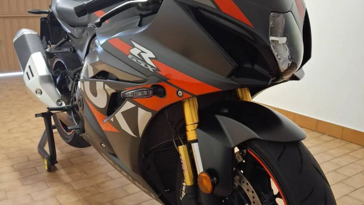 Suzuki GSX-R1000R (2019 - 20)  (13)