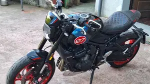 Triumph Trident 660 Triple Tribute Edition (2025 - 26)  (4)